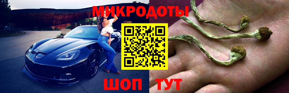 Псилоцибиновые грибы Magic Shrooms Краснокаменск